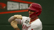 Home Run Baseball GIF by NCAA Championships