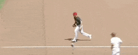 Nc State Baseball GIF by NCAA Championships