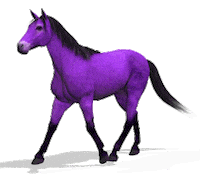Horse Pule Sticker