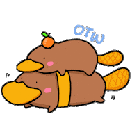 Orange Platypus Sticker