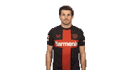 Bayer Leverkusen Sticker by Bundesliga