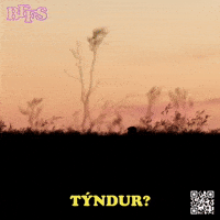 Sorry Lets Go GIF by Marcel Katz / The Art Plug