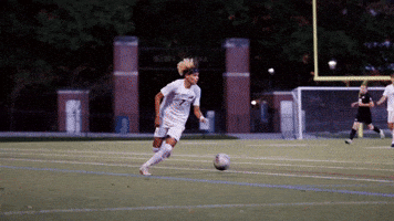 Mens Soccer GIF by Norwich University