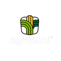 Agriculture Corn Sticker by AgriGold