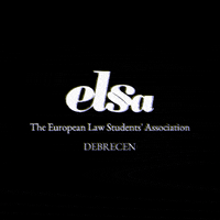 elsadebrecen elsa elsadebrecen GIF