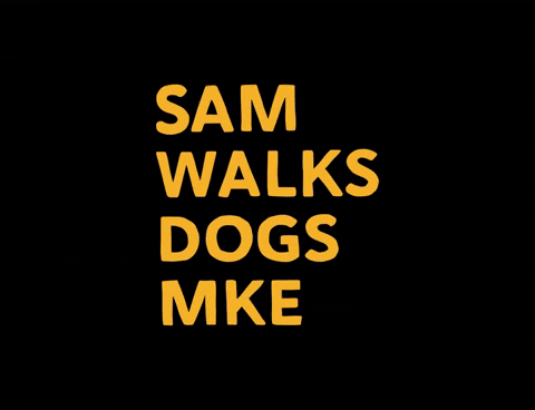 emdesignsco giphyupload dogs sam walks dogs sam walks dogs mke GIF