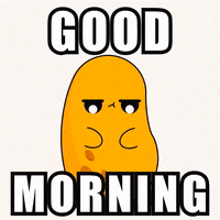 Good Morning GIF