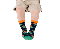 Dinosaur Sticker by Jefferies Socks