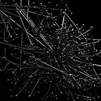 Loop Branching GIF by xponentialdesign