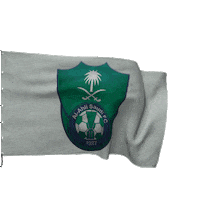 Saudi Arabia Jeddah Sticker by MG Saudi | إم جي السعودية