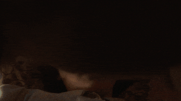 GIF by Annabelle Comes Home