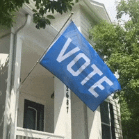 FlagsForGood flag vote biden democrats GIF