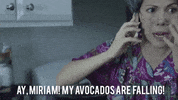 old lady no GIF