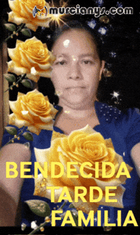 Feliz Flores GIF by Murcianys LLC