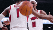 Celebrate And One GIF by Arkansas Razorbacks