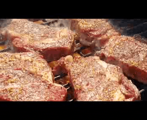 bbcharcoal giphyupload steak charcoal bbcharcoal GIF