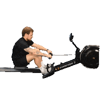 Fitness Rowing Sticker by Held Personal Training