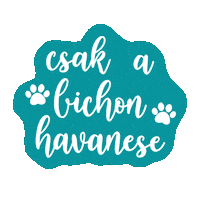 Bichon Mancs Sticker