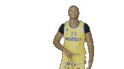 CBislascanarias richardson spargrancanaria cbic reigan Sticker