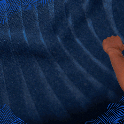 Sport Bundesliga GIF by TSG Hoffenheim
