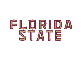 football basketball Sticker by Florida State University