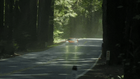 Need For Speed Corvette GIF by jesse_iwuji