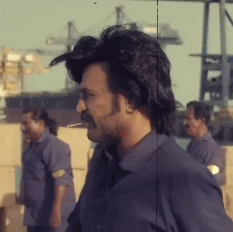 Chennai Super Kings Ipl GIF