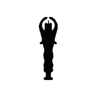 Carp Carpfishing Sticker by wizetackle