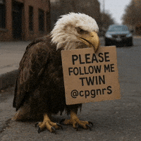 Please Follow Me GIF