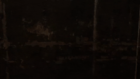 JUMPSCAREZ giphygifmaker wall GIF