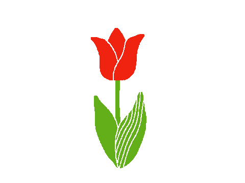 Hana Tulip Sticker