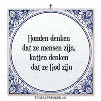 Humor Nl GIF by Tegelspreuken.nl