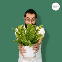 GreenMeUp  GIF