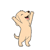 Celebration Yes Sticker