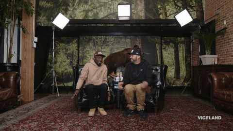 penguin GIF by Desus & Mero