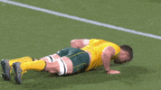 World Rugby Sport GIF by Rugby World Cup