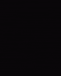 Nathan Williams Wow GIF by X Games 