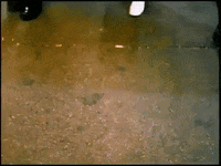 sonic youth 90s GIF