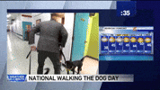 wgn-tv lol GIF by WGN Morning News