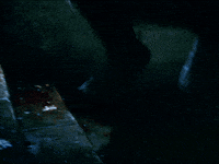 The Wolfman Horror GIF