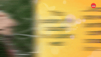 Golden Retriever Derps