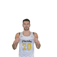 Mens Basketball Sticker by Clarke University