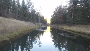 south dakota GIF