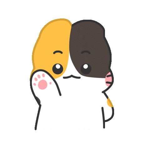 ba_so_0 giphyupload cat hello hi Sticker