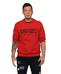 tpa facepalm Sticker by Torben Platzer ATTITUDE