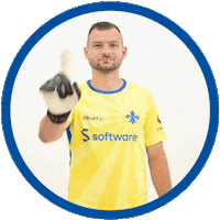 2 Bundesliga Football Sticker by SV Darmstadt 1898 e.V.
