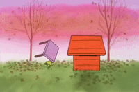 charlie brown thanksgiving GIF by Peanuts