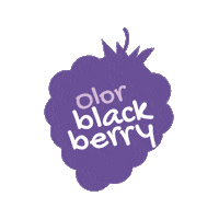 Kids Blackberry Sticker by Handsclean