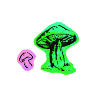 ClubhouseCandleCo trippy candle clubhouse mushrooms Sticker