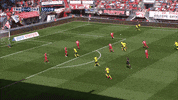 GIF by FOX Sports